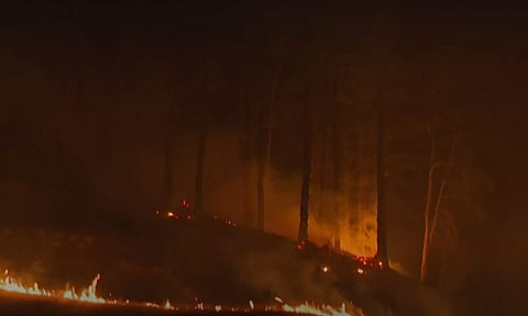 தென்கொரியா காட்டுத்தீ: பலி எண்ணிக்கை 28 ஆக உயர்வு