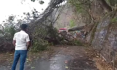 ஏற்காட்டில் சூறைக்காற்றுடன் கனமழை- சாலையில் மரம் விழுந்ததால் போக்குவரத்து பாதிப்பு