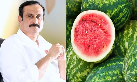 தர்பூசணி பழம் குறித்து மக்களிடம் நிலவும் அச்சத்தைப் போக்க வேண்டும்- அன்புமணி ராமதாஸ்