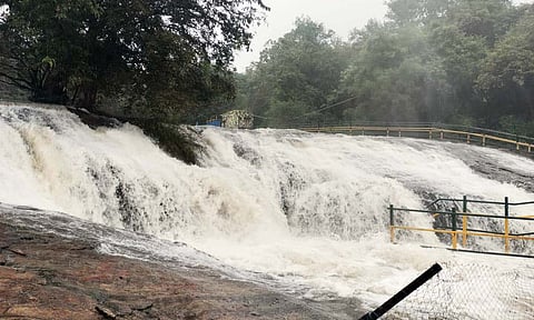 தேனி மாவட்டத்தில் கொட்டித்தீர்த்த மழை- அருவிகளில் வெள்ளப்பெருக்கால் சுற்றுலா பயணிகளுக்கு தடை