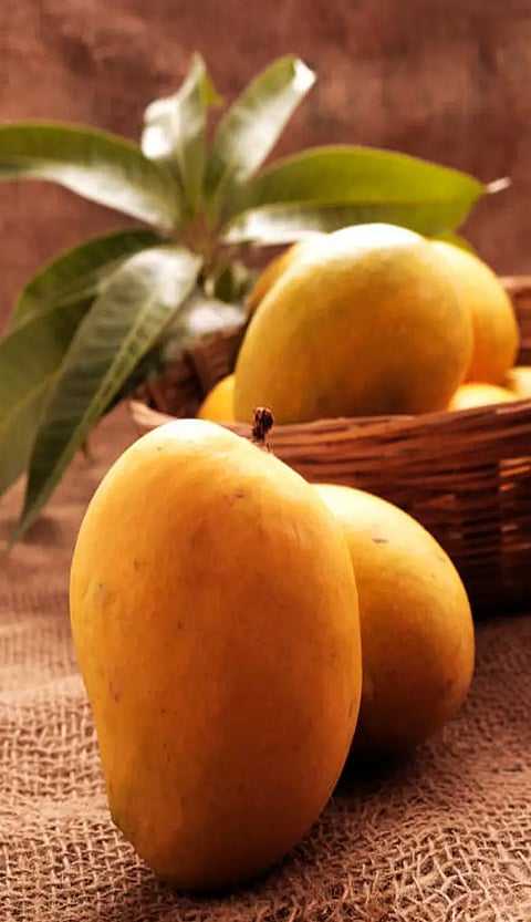 மருத்துவ குணங்கள் நிறைந்த மாம்பழம்