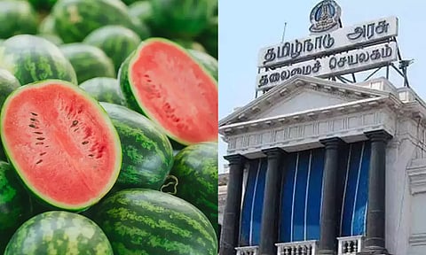 தர்பூசணி பழங்களில் எந்த ரசாயனமும் இல்லை- தமிழ்நாடு அரசு தகவல்