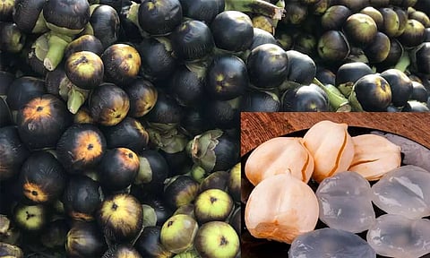 வெளிநாடுகளில் 'ஐஸ் ஆப்பிள்' என்ற பெயரில் நுங்கு விற்பனை