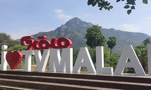 திருவண்ணாமலையில் மினி டைடல் பூங்கா அமைக்க டெண்டர் கோரியது தமிழ்நாடு அரசு