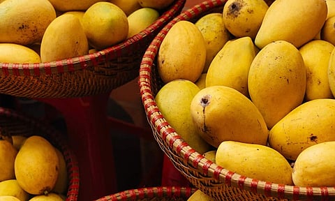 நோய் எதிர்ப்பு சக்தியை அதிகரிக்கும் மாம்பழம்