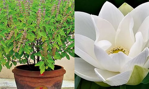 அட்சய திருதியை... வாங்க வேண்டிய மங்களப் பொருட்கள்