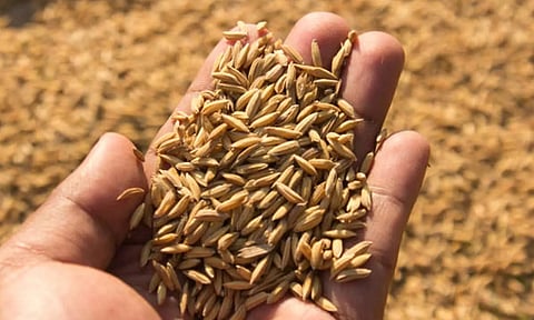 அட்சய திருதியை நாளில் செய்ய வேண்டிய சுப காரியங்கள்