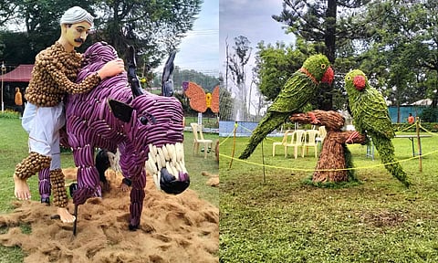 நீலகிரியில் காய்கறி கண்காட்சியுடன் கோடை விழா தொடங்கியது