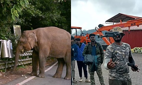 தொட்டபெட்டாவில் காட்டு யானையின் நடமாட்டம் டிரோன் மூலம் கண்காணிப்பு - சுற்றுலா பயணிகளுக்கு தடை