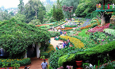 உதகை 127வது மலர் கண்காட்சி- இன்று ஒரே நாளில் 13,000 பேர் கண்டு ரசிப்பு