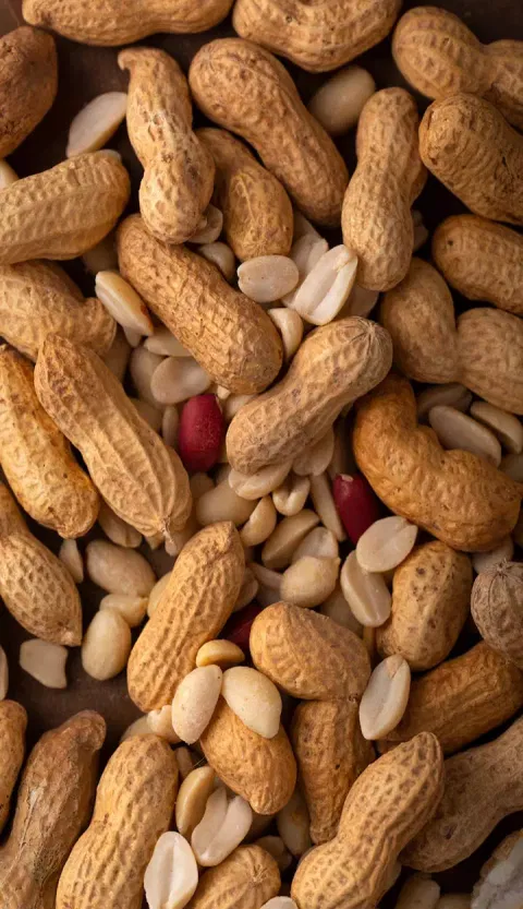 குழந்தைகளின் அதிவேக வளர்ச்சிக்கு உதவும் எளிய நட்ஸ்!