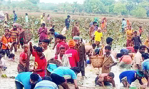 மேலூர் அருகே மீன்பிடி திருவிழா- போட்டிப்போட்டு மீன்களை அள்ளிச்சென்ற கிராம மக்கள்