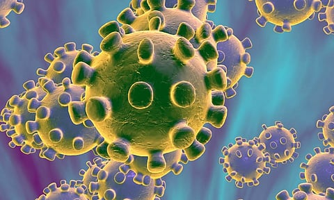 தமிழகத்தில் கொரோனா பரவல் இல்லை - பொது சுகாதாரத்துறை அறிவிப்பு