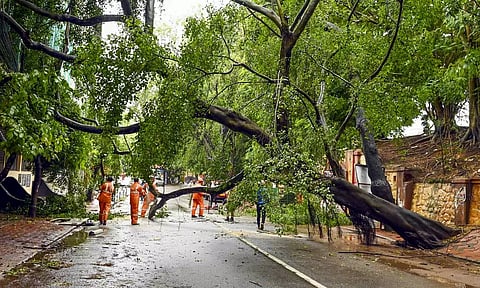 பலத்த காற்றுடன் கனமழை - கேரளாவில் 12 ஆயிரத்துக்கும் மேற்பட்ட மின்கம்பங்கள் முறிந்து விழுந்தன