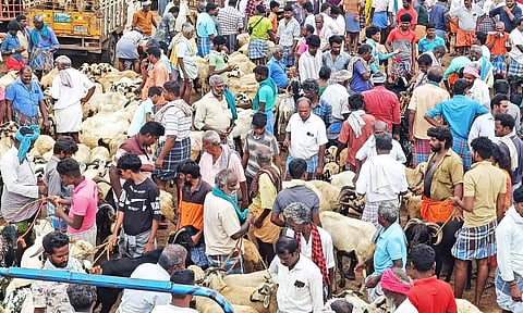 பக்ரீத் பண்டிகையை முன்னிட்டு அய்யலூர் சந்தையில் ரூ.3 கோடிக்கு ஆடுகள் விற்பனை
