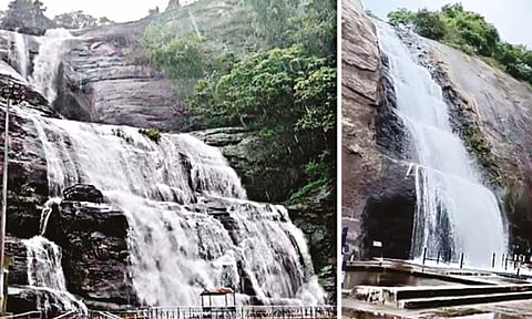 குற்றாலத்தில் மீண்டும் கனமழை: அருவிகளில் குளிக்க 6-வது நாளாக தடை