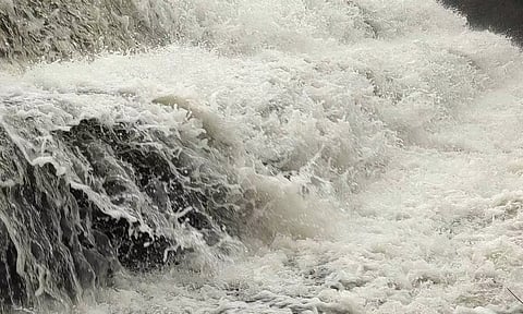 அணைப்பிள்ளையார் தடுப்பணையில் சீறிப்பாய்ந்து செல்லும் காட்டாற்று வெள்ளம்.
