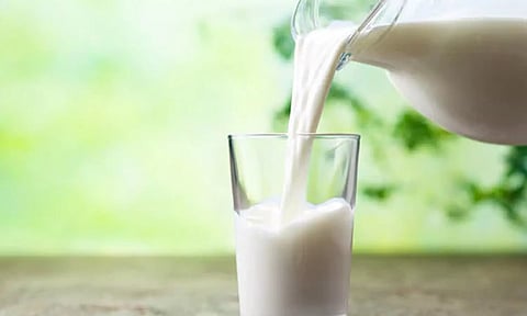 "உலகப் பால் தினம்: நம் பாரம்பரியப் பால் பொருட்கள் - சிறப்பம்சங்கள்!"