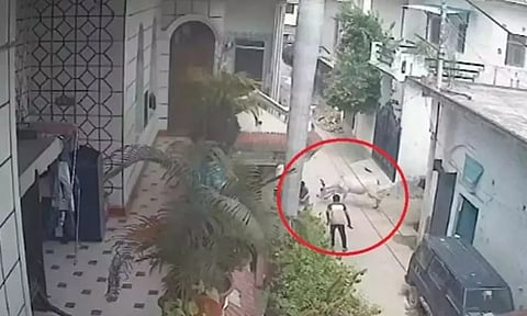 தெருவில் நடந்து சென்றவரை கொம்பினால் முட்டி மிதித்துக் கொன்ற காளை மாடு - அதிர்ச்சியூட்டும் வீடியோ