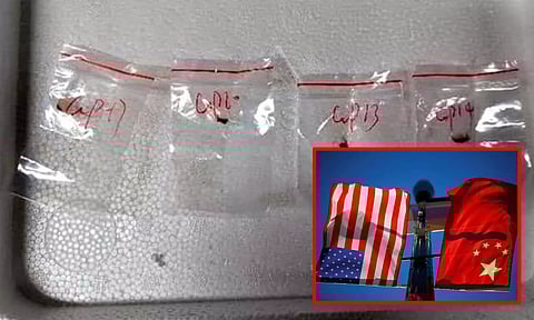 விவசாயத்தை அழிக்க திட்டம்: அமெரிக்காவிற்குள் அபாயகர கிருமியை கடத்திய சீன ஆராய்ச்சியாளர்கள் கைது