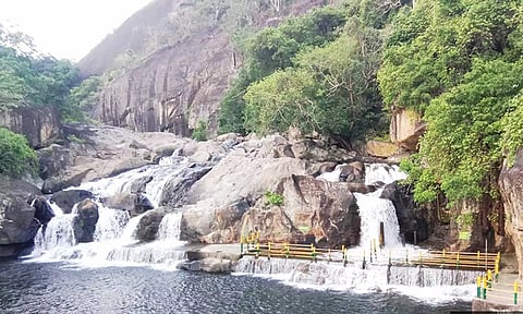 10 நாட்களுக்கு பின்னர் மணிமுத்தாறு அருவியில் குளிக்க அனுமதி- சுற்றுலா பயணிகள் மகிழ்ச்சி