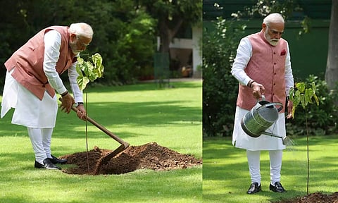 உலக சுற்றுச்சூழல் தினம்: சிந்தூர் மரக்கன்றுகளை நட்டார் பிரதமர் மோடி