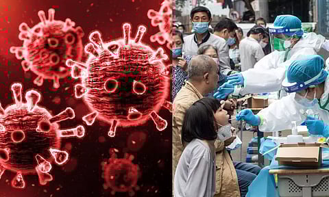 HKU5: அடுத்த பெருந்தொற்றுக்கு தயாராகுங்கள்.. பீதியை கிளப்பும் வௌவால் வைரஸ் - விஞ்ஞானிகள் எச்சரிக்கை