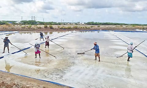 வெயில் தாக்கம் அதிகரிப்பு: வேதாரண்யத்தில் உப்பு உற்பத்தி பணி தீவிரம்