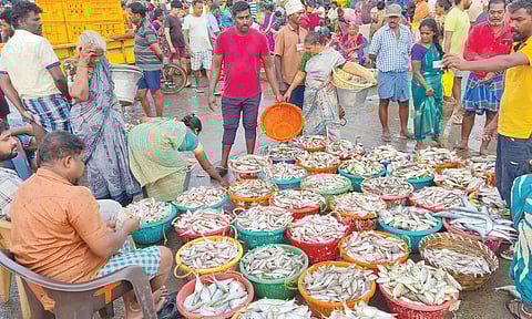 காசிமேட்டில் பெரிய வகை மீன்கள் வரத்தால் களை கட்டிய விற்பனை