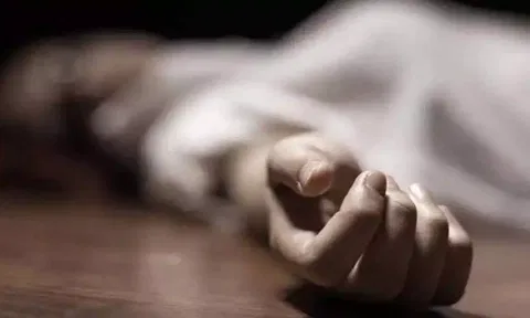 களக்காடு அருகே விஷ வண்டு கொட்டியதில் சிறுவன் உயிரிழப்பு