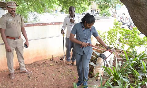 கோவை கலெக்டர் அலுவலகத்துக்கு வெடிகுண்டு மிரட்டல்- மர்ம கடிதம் குறித்து விசாரணை