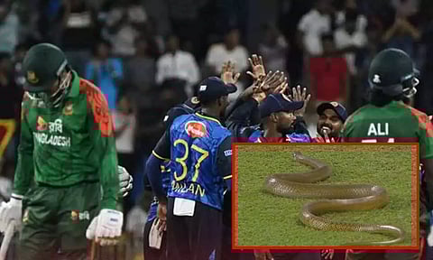 இலங்கை - வங்கதேசத்திற்கு இடையேயான ஒருநாள் போட்டியின்போது மைதானத்திற்குள் வந்த பாம்பு