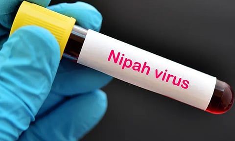 கேரளாவில் 2 பேருக்கு நிபா வைரஸ் அறிகுறிகள் - 3 மாவட்டங்களில் உஷார் நடவடிக்கை
