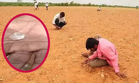 ஆந்திராவில் வயலில் கிடைத்த வைரக்கல்
