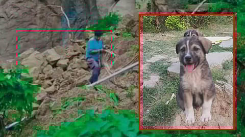 நிலச்சரிவில் உருக்குலைந்த கிராமம் - சத்தம் எழுப்பி 67 பேரின் உயிர்களை காப்பாற்றிய நாய்