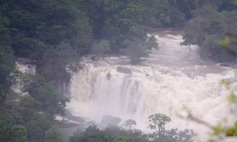 தூவானம் அருவியில் ஆர்ப்பரித்து கொட்டும் தண்ணீர்.