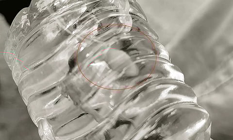 குடிநீர் பாட்டிலில் இறந்த பல்லி- தண்ணீர் சுத்திகரிப்பு ஆலையில் முற்றுகை போராட்டம்