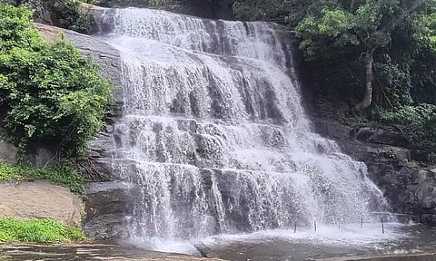 தேனி மாவட்டத்தில் கனமழை- வெள்ளப்பெருக்கால் அருவிகளில் குளிக்க சுற்றுலா பயணிகளுக்கு தடை