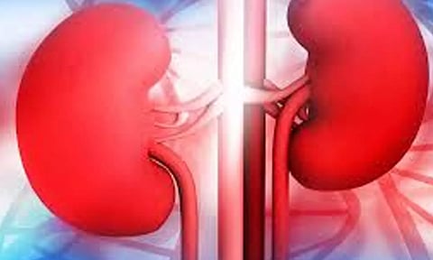 பள்ளிபாளையம் பகுதியில் ஏராளமான பெண்களிடம் சிறுநீரகம் எடுத்து மோசடி- விசாரணையில் அதிர்ச்சி தகவல்