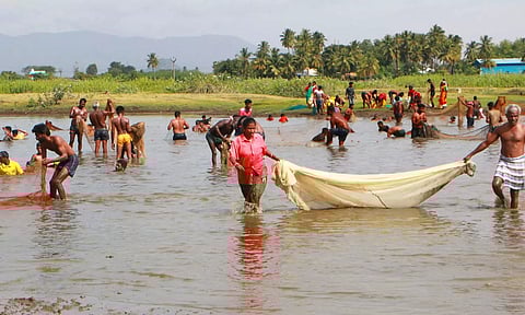 பருவமழையை வரவேற்கும் வகையில் நடந்த மீன்பிடி திருவிழா