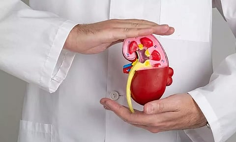 கடந்த ஆண்டில் மட்டும் தமிழ்நாட்டில் 1,796 சிறுநீரக மாற்று அறுவை சிகிச்சைகள்