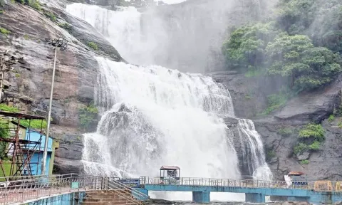மெயின் அருவியில் தண்ணீர் ஆர்ப்பரித்து விழும் காட்சி.