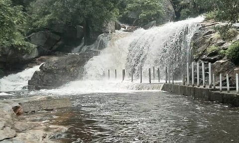 பஞ்சலிங்க அருவியில் தண்ணீர் ஆர்ப்பரித்து கொட்டுவதை காணலாம்.