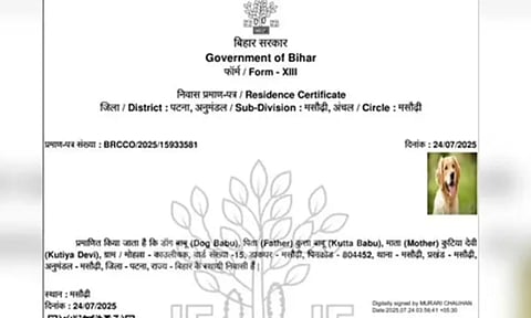 பீகாரில் நாய்க்கு இருப்பிடச் சான்றிதழ் வழங்கப்பட்டதால் சர்ச்சை.. எதிர்க்கட்சிகள் கடும் விமர்சனம்