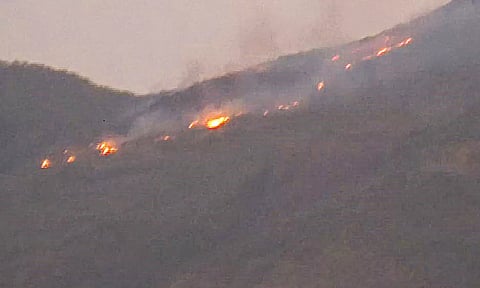 சதுரகிரி மலைப்பகுதியில் பரவும் காட்டுத்தீ- பக்தர்கள் செல்ல தடை