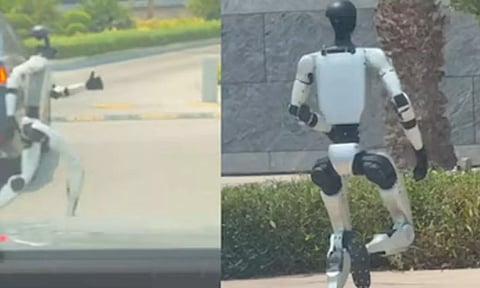 சாலையின் குறுக்கே ஓடிய ரோபோ- வீடியோ வைரல்