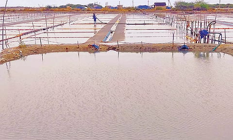 உப்பளங்களில் மழைநீர் தேங்கி நிற்கும் காட்சி