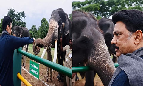 இயற்கையை செழுமைப்படுத்துவதில் யானைகளின் அளப்பரிய பங்கினை சிந்தித்துப் பார்ப்போம்- மு.க.ஸ்டாலின்