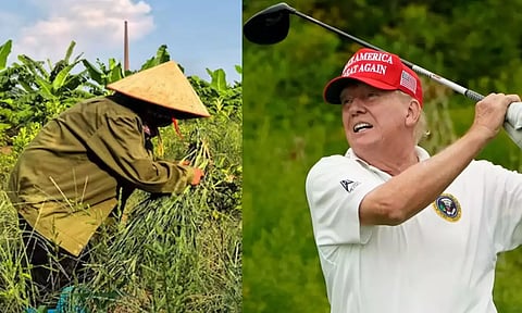 வியட்நாமில் Golf club கட்டும் டிரம்ப் - ஆயிரக்கணக்கான விவசாயிகள் வெளியேற்றம் - சர்ச்சை