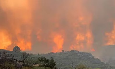 ஸ்பெயினில் பரவும் காட்டுத்தீ: ஒன்றரை லட்சம் ஏக்கர் எரிந்து நாசம்